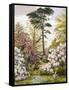 A Pretty Woodland Garden-Marian Emma Chase-Framed Stretched Canvas