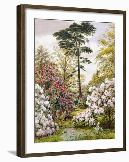 A Pretty Woodland Garden-Marian Emma Chase-Framed Giclee Print