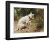 A Prickly Problem-George Augustus Holmes-Framed Giclee Print