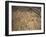 A Pride of Lionesses, Panthera Leo, Resting in Tall Grass under Trees at Sunrise-Alex Saberi-Framed Photographic Print