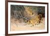 A Pride of Lions on the Prowl (Oil on Canvas)-Wilhelm Kuhnert-Framed Giclee Print