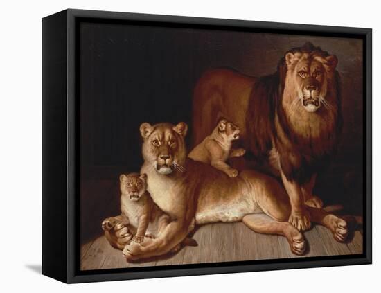 A Pride of Lions-Edward S. Curtis-Framed Stretched Canvas