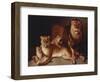 A Pride of Lions-Edward S. Curtis-Framed Giclee Print