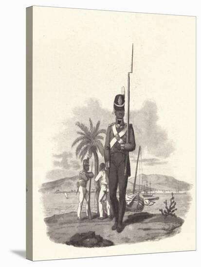 'A Private of the 5th West India Regiment', c1812 (1909)-Joseph Constantine Stadler-Stretched Canvas