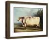 A Prize Bull, 1839-William Henry Davis-Framed Giclee Print