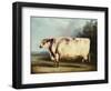 A Prize Bull, 1839-William Henry Davis-Framed Giclee Print