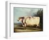 A Prize Bull, 1839-William Henry Davis-Framed Giclee Print