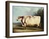 A Prize Bull, 1839-William Henry Davis-Framed Giclee Print