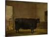 A Prize Bull, A Fat Kerry Cow, 1819-Thomas Weaver-Stretched Canvas
