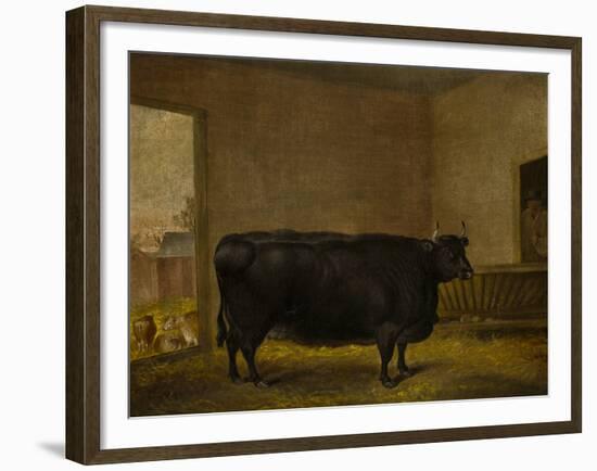 A Prize Bull, A Fat Kerry Cow, 1819-Thomas Weaver-Framed Giclee Print