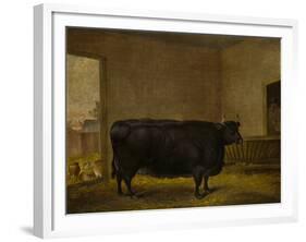 A Prize Bull, A Fat Kerry Cow, 1819-Thomas Weaver-Framed Giclee Print