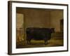 A Prize Bull, A Fat Kerry Cow, 1819-Thomas Weaver-Framed Giclee Print
