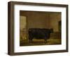 A Prize Bull, A Fat Kerry Cow, 1819-Thomas Weaver-Framed Premium Giclee Print