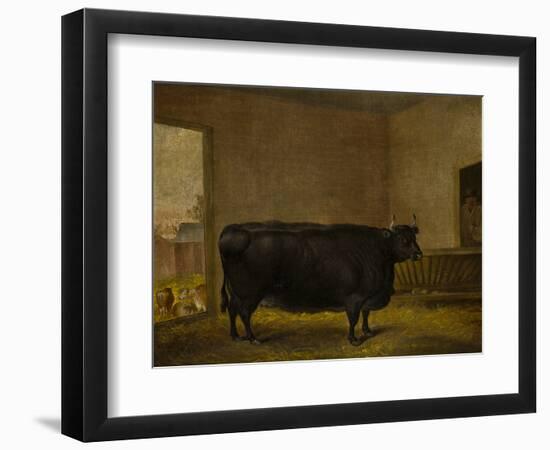 A Prize Bull, A Fat Kerry Cow, 1819-Thomas Weaver-Framed Premium Giclee Print