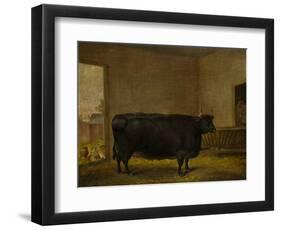 A Prize Bull, A Fat Kerry Cow, 1819-Thomas Weaver-Framed Premium Giclee Print