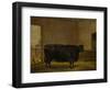 A Prize Bull, A Fat Kerry Cow, 1819-Thomas Weaver-Framed Premium Giclee Print