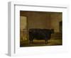 A Prize Bull, A Fat Kerry Cow, 1819-Thomas Weaver-Framed Premium Giclee Print