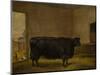 A Prize Bull, A Fat Kerry Cow, 1819-Thomas Weaver-Mounted Premium Giclee Print