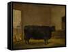 A Prize Bull, A Fat Kerry Cow, 1819-Thomas Weaver-Framed Stretched Canvas