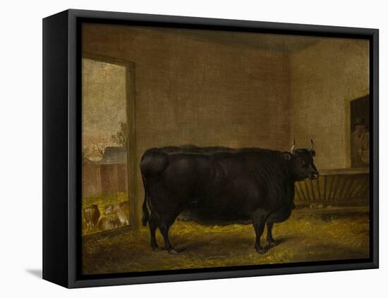 A Prize Bull, A Fat Kerry Cow, 1819-Thomas Weaver-Framed Stretched Canvas