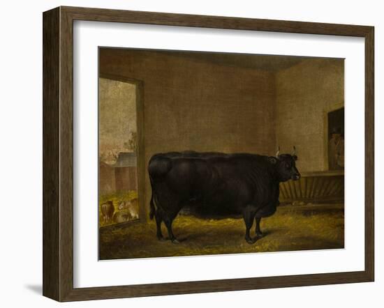 A Prize Bull, A Fat Kerry Cow, 1819-Thomas Weaver-Framed Giclee Print