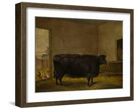 A Prize Bull, A Fat Kerry Cow, 1819-Thomas Weaver-Framed Giclee Print