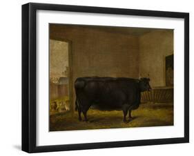 A Prize Bull, A Fat Kerry Cow, 1819-Thomas Weaver-Framed Giclee Print