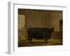 A Prize Bull, A Fat Kerry Cow, 1819-Thomas Weaver-Framed Giclee Print