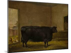 A Prize Bull, A Fat Kerry Cow, 1819-Thomas Weaver-Mounted Giclee Print