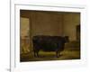 A Prize Bull, A Fat Kerry Cow, 1819-Thomas Weaver-Framed Giclee Print
