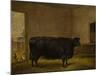 A Prize Bull, A Fat Kerry Cow, 1819-Thomas Weaver-Mounted Giclee Print