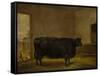 A Prize Bull, A Fat Kerry Cow, 1819-Thomas Weaver-Framed Stretched Canvas