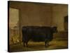 A Prize Bull, A Fat Kerry Cow, 1819-Thomas Weaver-Stretched Canvas