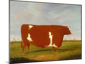 A Prize Bull standing in a Landscape, 1812-Thomas Weaver-Mounted Giclee Print