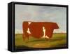 A Prize Bull standing in a Landscape, 1812-Thomas Weaver-Framed Stretched Canvas