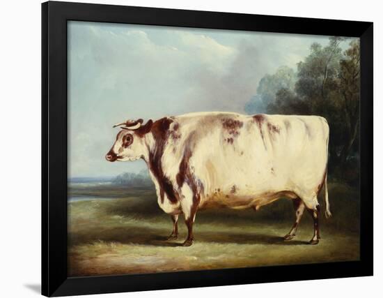 A Prize Bull-William Henry Davis-Framed Giclee Print