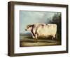 A Prize Bull-William Henry Davis-Framed Giclee Print