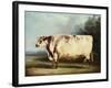 A Prize Bull-William Henry Davis-Framed Giclee Print