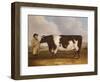 A Prize Friesian Bull with a Cowherd in a Landscape-Richard Whitford-Framed Giclee Print