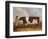 A Prize Friesian Bull with a Cowherd in a Landscape-Richard Whitford-Framed Giclee Print