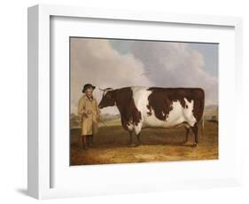 A Prize Friesian Bull with a Cowherd in a Landscape-Richard Whitford-Framed Giclee Print