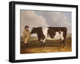 A Prize Friesian Bull with a Cowherd in a Landscape-Richard Whitford-Framed Giclee Print