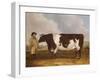 A Prize Friesian Bull with a Cowherd in a Landscape-Richard Whitford-Framed Giclee Print