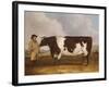 A Prize Friesian Bull with a Cowherd in a Landscape-Richard Whitford-Framed Giclee Print