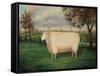 A Prize Sheep of the Old Lincoln Breed, 1835-W. Adamson-Framed Stretched Canvas