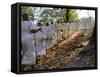 A Procession of Buddhist Nuns Make Their Way Through the Temples of Angkor, Cambodia, Indochina-Andrew Mcconnell-Framed Stretched Canvas