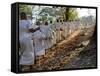 A Procession of Buddhist Nuns Make Their Way Through the Temples of Angkor, Cambodia, Indochina-Andrew Mcconnell-Framed Stretched Canvas