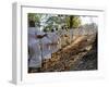 A Procession of Buddhist Nuns Make Their Way Through the Temples of Angkor, Cambodia, Indochina-Andrew Mcconnell-Framed Photographic Print