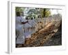 A Procession of Buddhist Nuns Make Their Way Through the Temples of Angkor, Cambodia, Indochina-Andrew Mcconnell-Framed Photographic Print