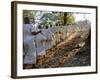 A Procession of Buddhist Nuns Make Their Way Through the Temples of Angkor, Cambodia, Indochina-Andrew Mcconnell-Framed Photographic Print